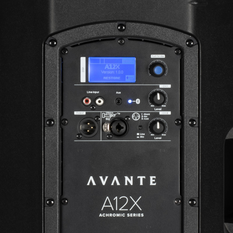 Avante Audio AVANTE A12X thumbnail 4