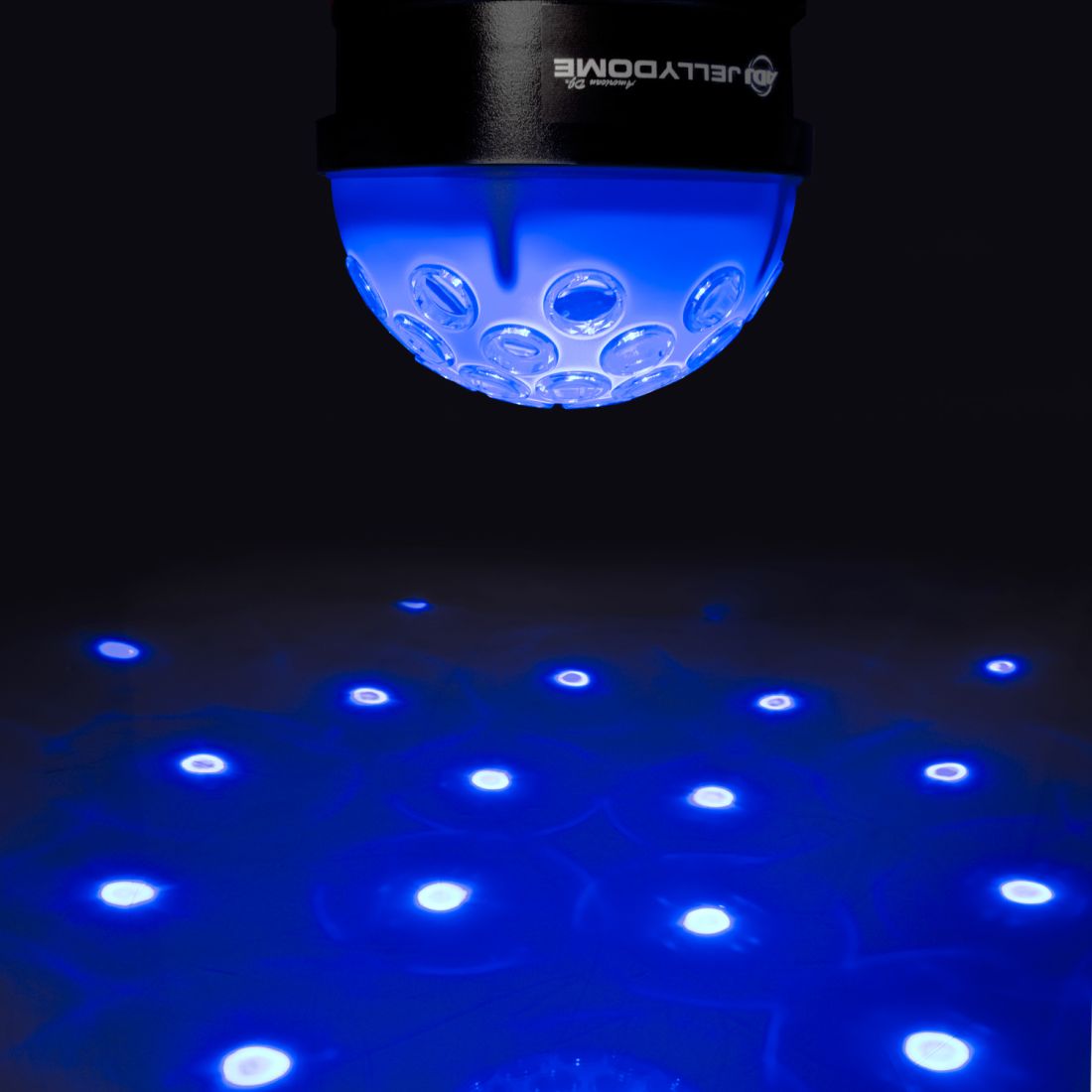 JELLYDOME2_1.jpg