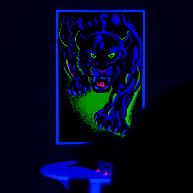 ADJ UV PAR 100IP thumbnail 8