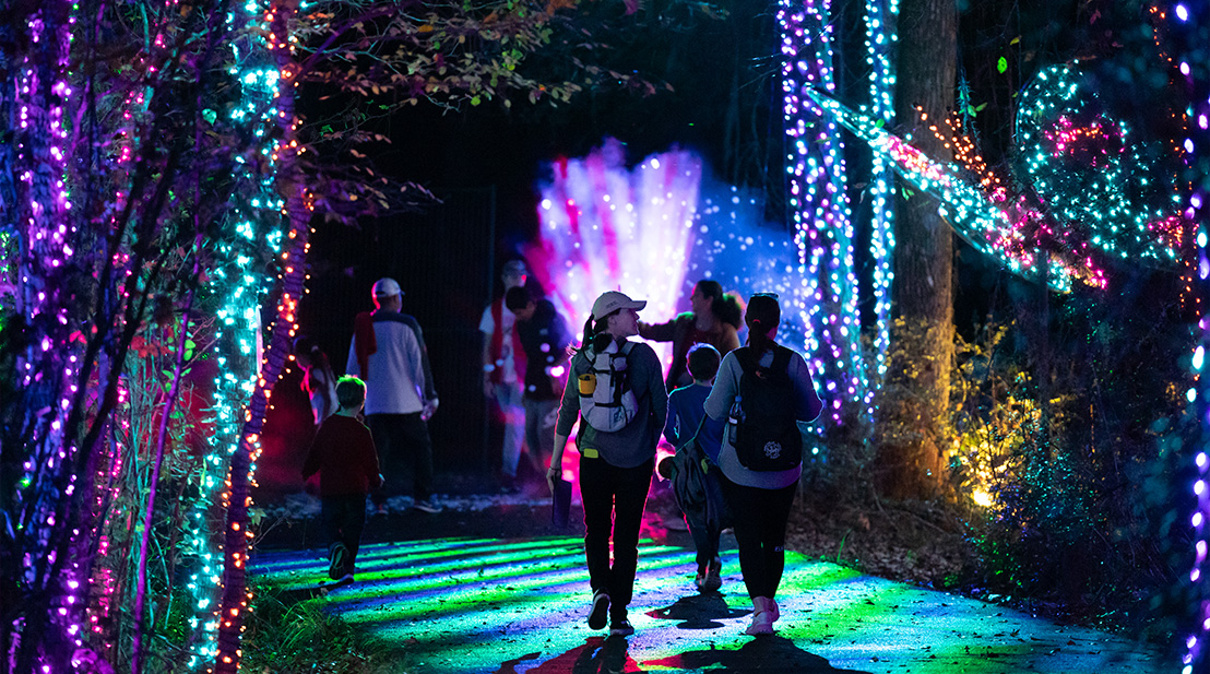 Texas Christian Camp Invests In 100s Of ADJ IP-Rated Fixtures For Holiday Light Experience